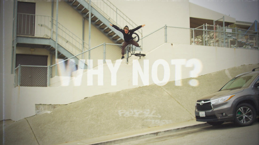 NATHAN WILLIAMS 'WHY NOT' LEFTOVERS