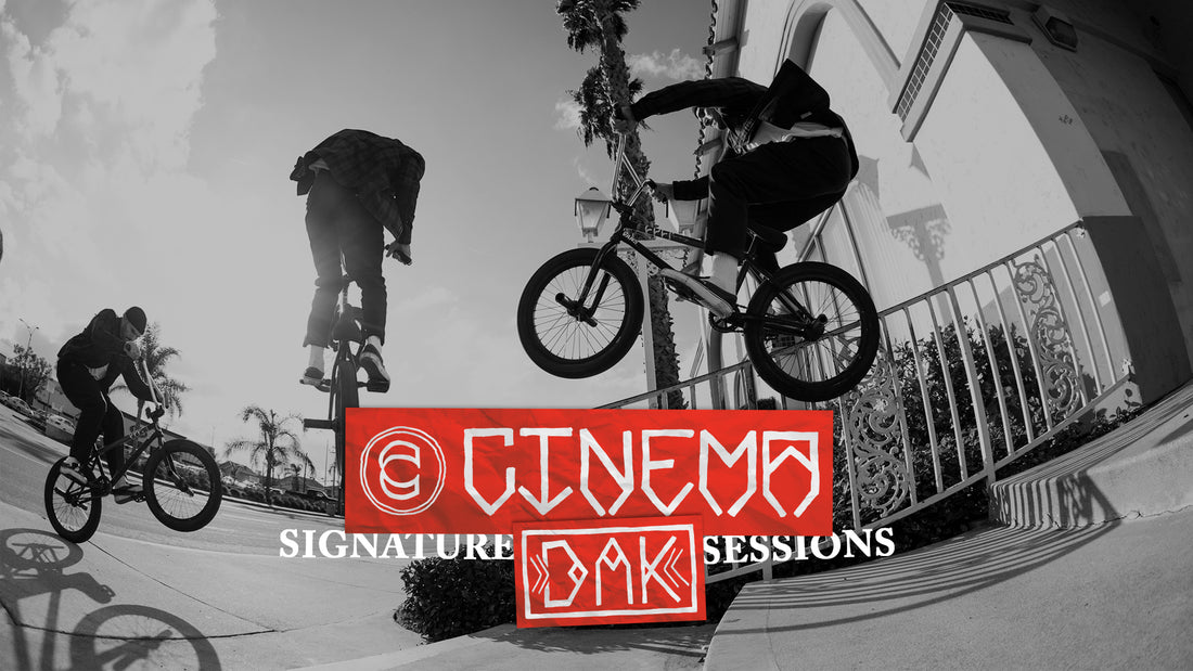 DAKOTA ROCHE SIGNATURE SESSIONS